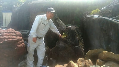 佐橋造園さん01